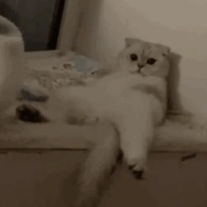 妓女性爱色视频
